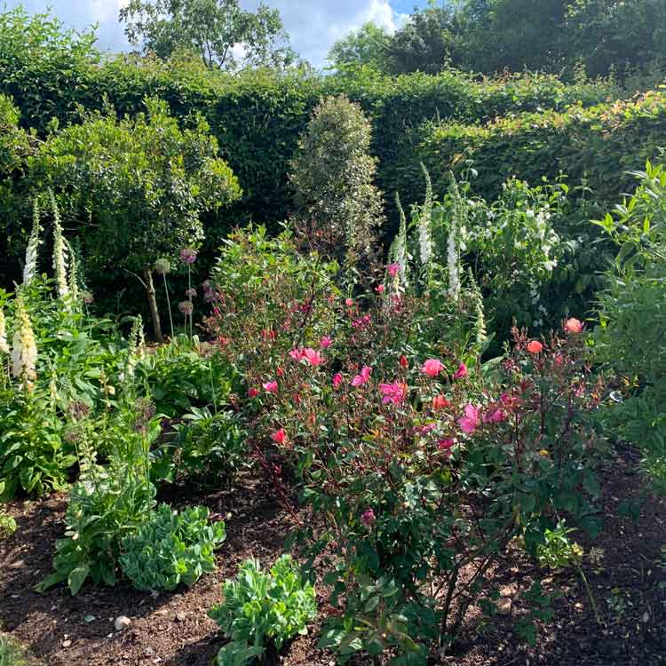 Flower bed in flower at Well Farm Cotswolds
