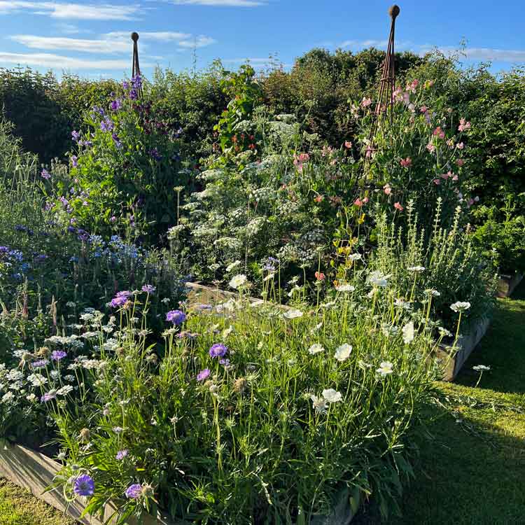 Flowers in the garden at Well Farm Cotswolds