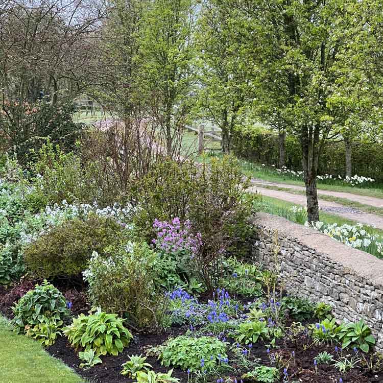 Flowerbed at Well Farm Tetbury