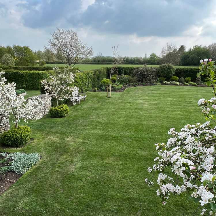 Lawn with blossom at Well Farm Cirencester