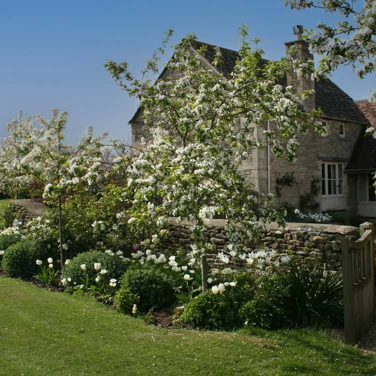 Gardens in blossom at Well Farm Tetbury